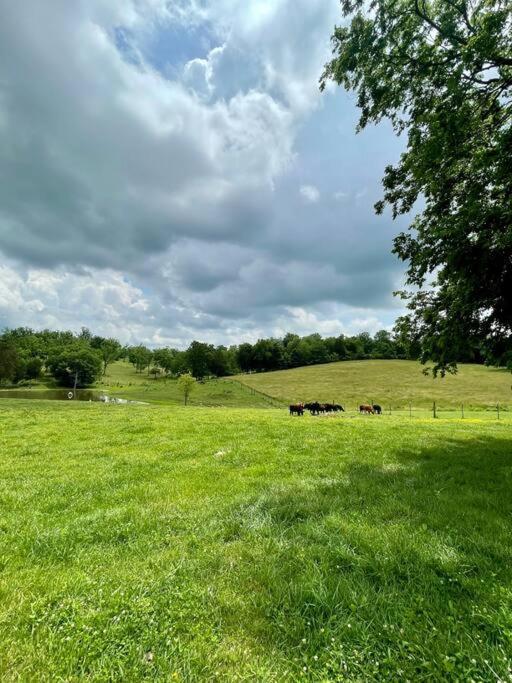 Bourbon Trail Cabin On The Farm Lawrenceburg المظهر الخارجي الصورة